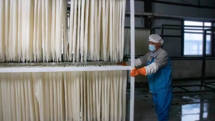 稅務賦能，非遺“活”起來 延邊稅務助力非物質文化遺產傳承與發展